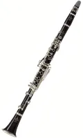 Пара кларнетов Buffet Crampon RC BC1314L-2-0