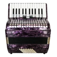 GOLDEN CUP JP2648 VIOLET - Аккордеон 1/2