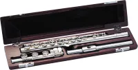 Flute case Pearl TFC-2RB - Case for Dolce, Elegante series flute with B-footjoint.