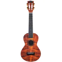 Mahalo MA2KA Укулеле концертная с чехлом, корпус - липа, гриф - махагон, струны Aquila Super Nylgut, графический дизайн корпуса, матовая, серия Artist Elite