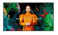 Профессиональный дисплей Samsung [QB43C] 3840х2160,4000:1,350кд/м2,Tizen 7.0