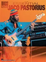 MUSIC SALES HL00690420 - Книга с нотами / аккордами для гитары