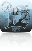 ГОСПОДИН МУЗЫКАНТ GD10-Комплект струн для 12-струнной гитары, латунь (010-049)
