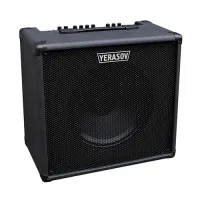 YERASOV R1 50W - Комбоусилитель
