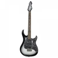 PEAVEY Raptor Custom SLB - Электрогитара