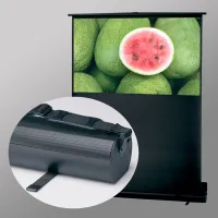 Экран RoadWarrior NTSC (3:4) 153/60" 91*122 XT1000E (MW)