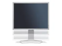 NEC MultiSync P212 - LCD Монитор, белый