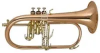 Wisemann FLH-600  флюгельгорн Bb студенческий, лак-золото