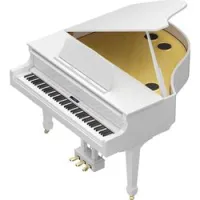 Roland gp609-pw  цифровой рояль, 88 клавиш, 384 полифония, 319 тембр, вес 148 кг