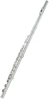 Флейта Artemis RFL-576GEB