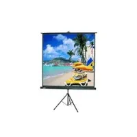Draper Consul (1:1) 50*50" 127*127 XT1000E - Мобильный проекционный экран