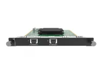 Входная слот карта H_2xRJ45  IP