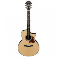 IBANEZ AE305-NT - Гитара акустическая