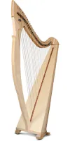 Арфа со звукоснимателем Salvi Egan Elettroacustica