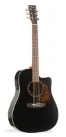028054 Protege B18 CW Cedar Black Электро-акустическая гитара, Norman