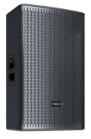 Audiocenter GT515P пассивная FOH/мониторная ак. система, 15" НЧ динамик