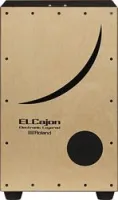 Roland ec-10  электро-кахон