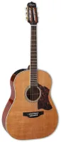 TAKAMINE CRN-TS1 электроакустическая гитара, в комплекте кейс