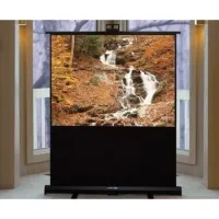 Экран Accuscreens Electric NTSC (3:4) 305/10' (72x96") 183*244 MW