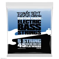 ERNIE BALL 2810 Flatwound 45-130 - Струны для 5 струнной бас-гитары