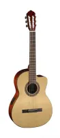 Parkwood PC110 - Электроакустические гитары