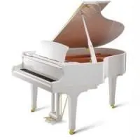 Kawai GX-1 WH/P  рояль, длина 166 см, цвет белый полированный, банкетка в комплекте, Япония;2900000;2320000;2175000;0;0;96595;0;0
Гитарное усиление и обработка"