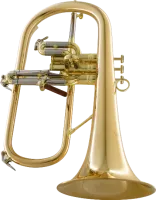 Флюгельгорн CarolBrass CFL-6200-GSS-Bb-L