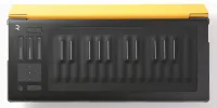ROLI FLIPCASE AMBER защитный кейс для RISE 25, цвет AMBER