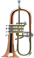 Флюгельгорн Schilke 70.1041-FLC