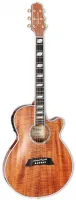 TAKAMINE TSP178ACKN электроакустическая гитара, в комплекте кейс