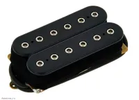 DIMARZIO DP153FBK - Звукосниматель