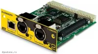 ALLENandHEATH DLIVE-M-DL-WAVES-V3 - Карта расширения