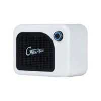 Mooer gtrs ptnr gca5 white  мини-комбо для gtrs и других цифровых продуктов, 5вт, белый