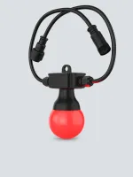 CHAUVET-DJ Festoon 2 RGB комплект из 20 светодиодных ламп Feston 2. В каждой лампе по 5х0,1Вт SMD RGB светодиодов
