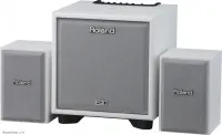 ROLAND CUBE-MONITOR-110-WH - Акустическая система