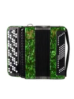 BN-37-GR Баян ученический двухголосный "Тула-209", 92/55х100-II, зеленый, Тульская Гармонь