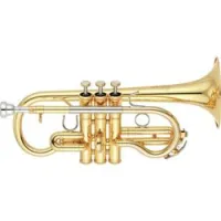 Yamaha PBO YCR-8620  Корнет Eb профессиональный, Серия Neo, золотой лак