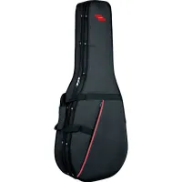PROEL PFOAM10 - кейс для классической гитары