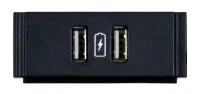 Двойной USB-модуль [FG553-13] AMX [HPX-N102-USB-PC] с печатным символом зарядки обеспечивает двойное USB-подключение к шасси HydraPort