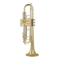 Труба Trevor James Renaissance TJTR4500 Bb
