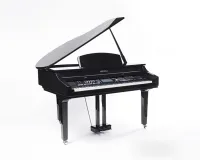 HGP11 Рояль 190см бубинга Hohner