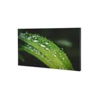 Dahua DHI-LS550KDM-UF- 55" ЖК-дисплей с LED-подсветкой для построения видеостены 4К60, 500 кд/м², шов 1,7 мм