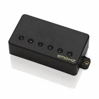 EMG F-H2A Старый "правильный" блюзовый звук. Модель для Floyd Rose