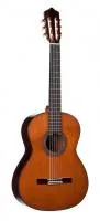 Perez 640 Cedar