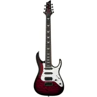 SCHECTER BANSHEE-7 EXTREME BCHB - 7-струнная электрогитара, 24 лада.Материал корпуса: красное дерево (махагон).Верхняя дека: Стеганый клен.Материал грифа: клен.Накладка грифа: палисандр.Звукосниматели: Schecter Diamond.Цвет гитары: Black Cherry Burst (BCH