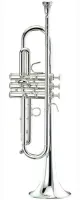 Trumpet Bb Stomvi Zenith Z5326 - Труба Zenith предназначена для учащихся и любителей. Прекрасный инструмент с гибкой интонацией и большим звуком. Посеребреная латунь.