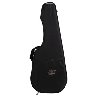 040179 Tric La Patrie Classical Футляр для классической гитары, Godin