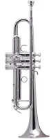 Труба Bb Schilke 10.S23HD.S