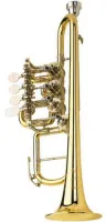 Роторная труба G Scherzer JS8113G-1-0D
