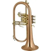 Wisemann FLH-600SP SALE  флюгельгорн Bb студенческий, посеребренный